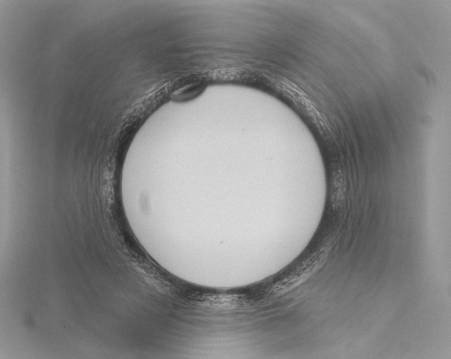 X0000115450497200912021009