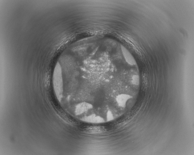 X0000115450499200912021009