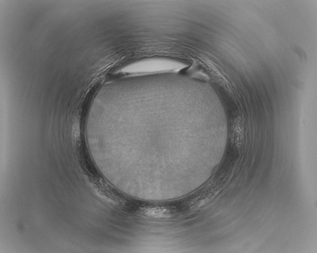 X0000115450500200912021009