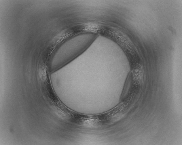 X0000115450504200912021009