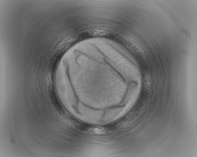 X0000115450506200912021009