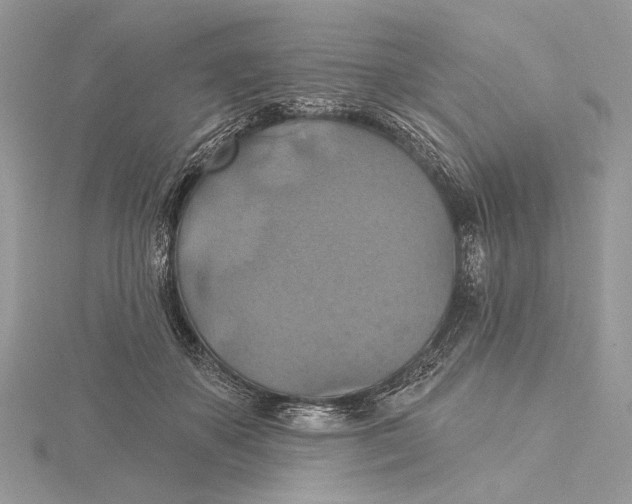 X0000115450507200912021009