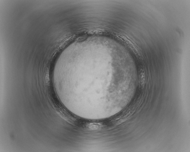 X0000115450508200912021009