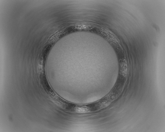 X0000115450510200912021009