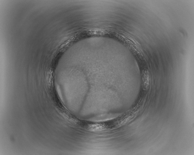 X0000115450511200912021009