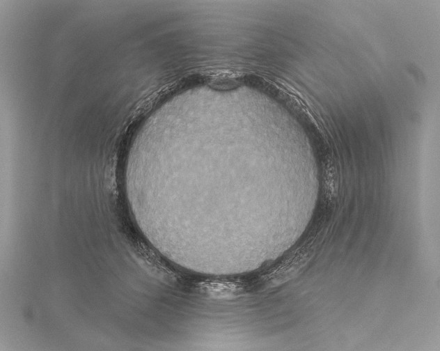 X0000115450512200912021009