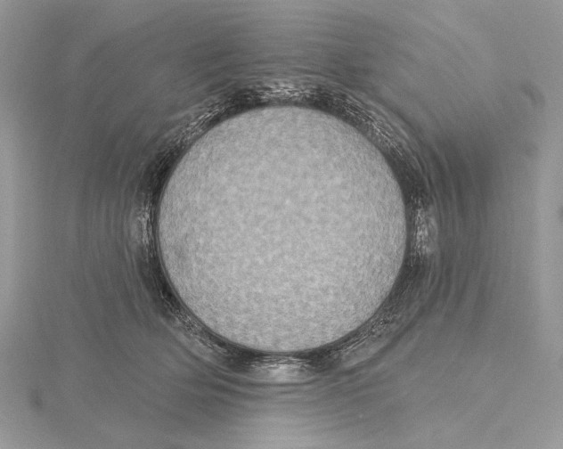 X0000115450514200912021009