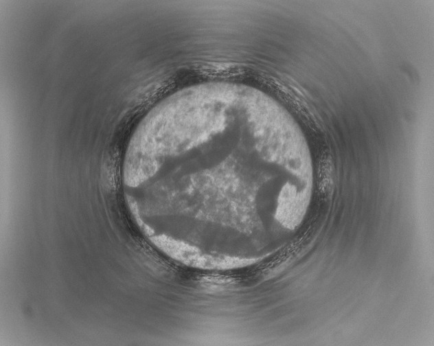 X0000115450515200912021009