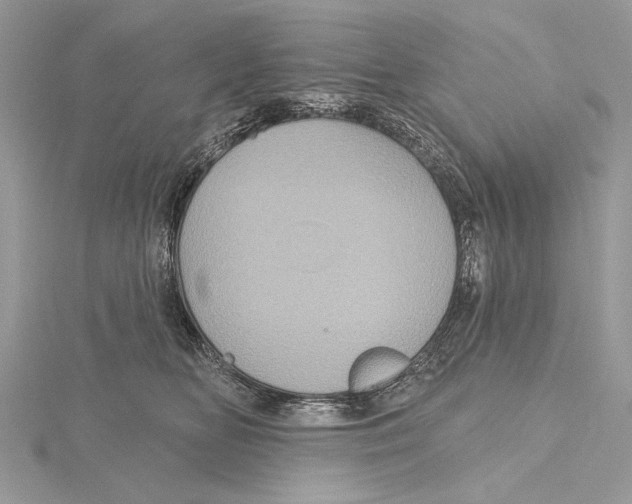 X0000115450518200912021009