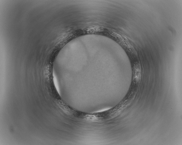 X0000115450519200912021009