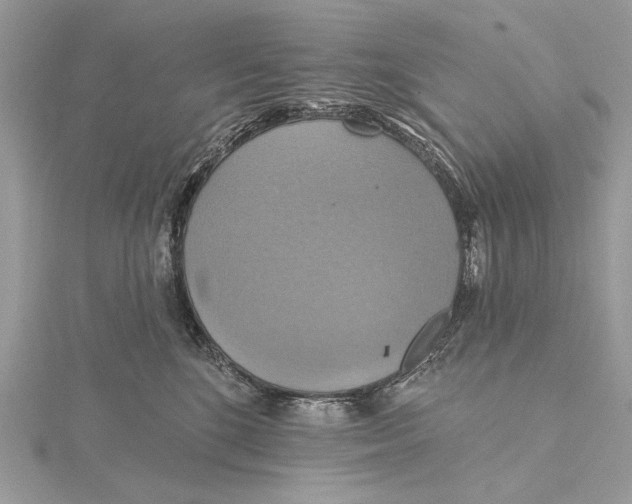 X0000115450520200912021009