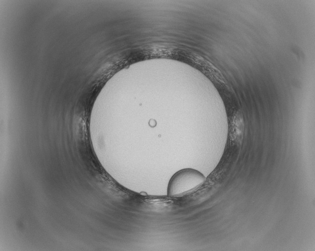 X0000115450522200912021009