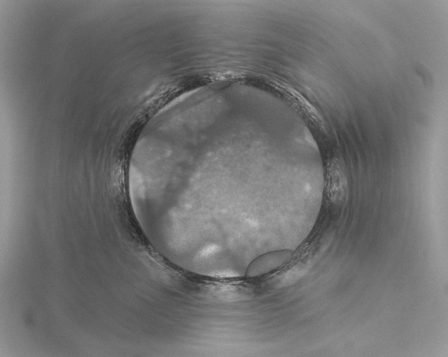 X0000115450523200912021009