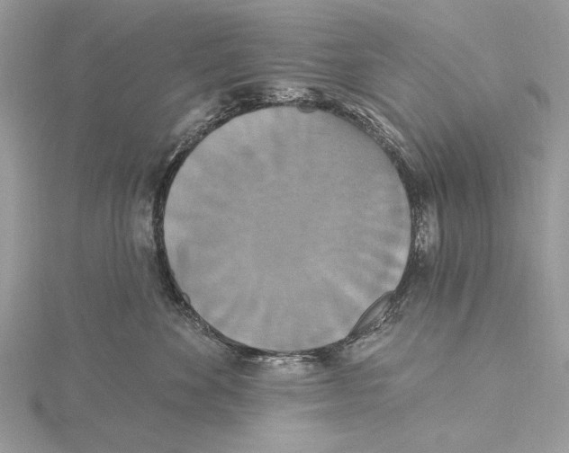 X0000115450524200912021009