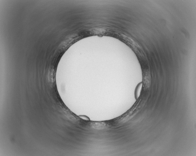 X0000115450525200912021009