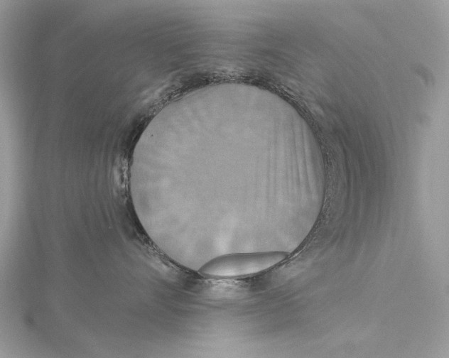 X0000115450528200912021009