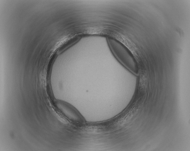 X0000115450530200912021008