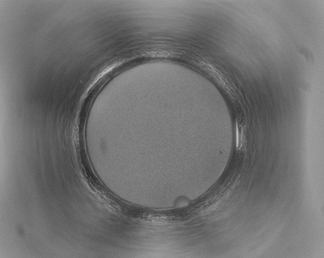 X0000115450531200912021008