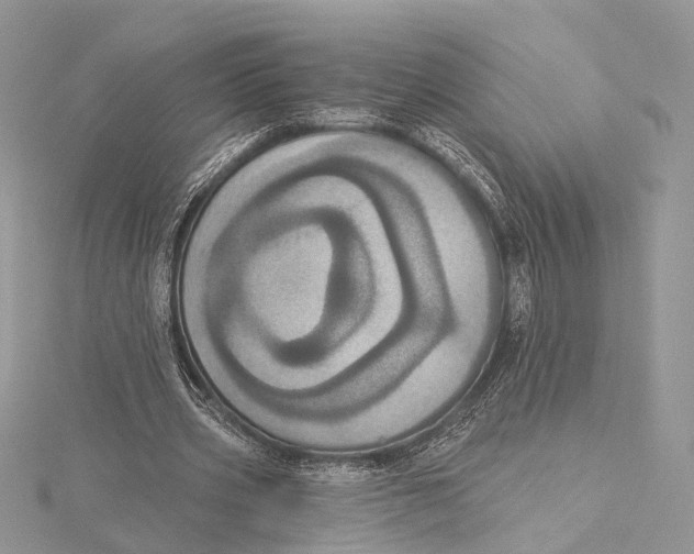 X0000115450533200912021008