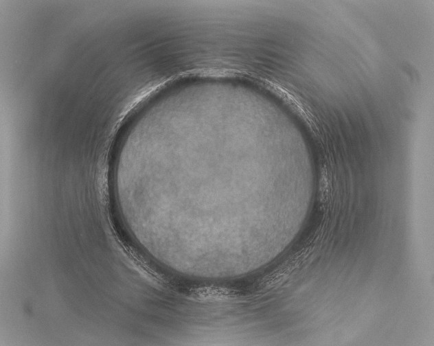 X0000115450535200912021008