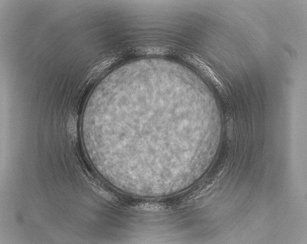 X0000115450537200912021008