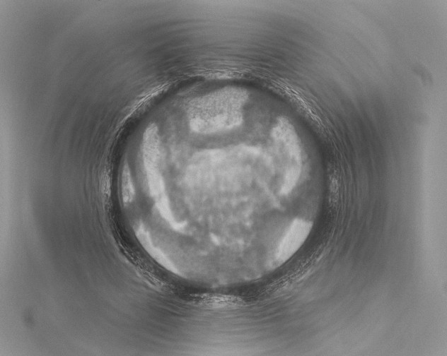 X0000115450539200912021008