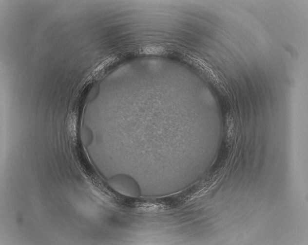 X0000115450542200912021008