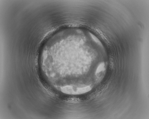 X0000115450543200912021008