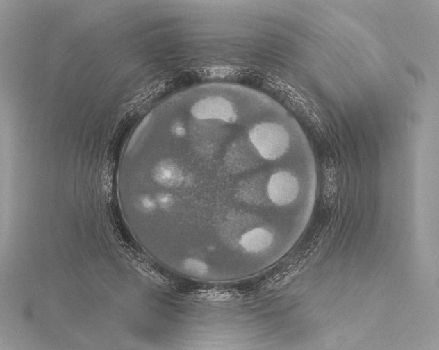 X0000115450545200912021008