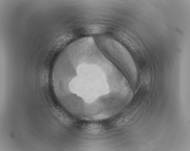 X0000115450546200912021008