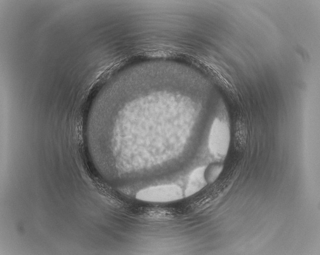 X0000115450547200912021008