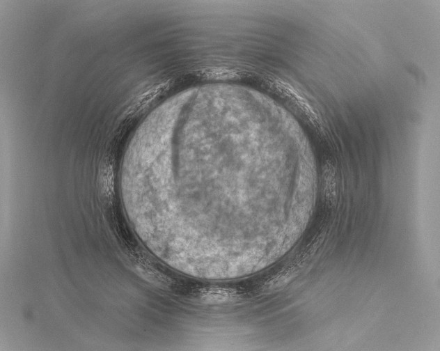 X0000115450549200912021008