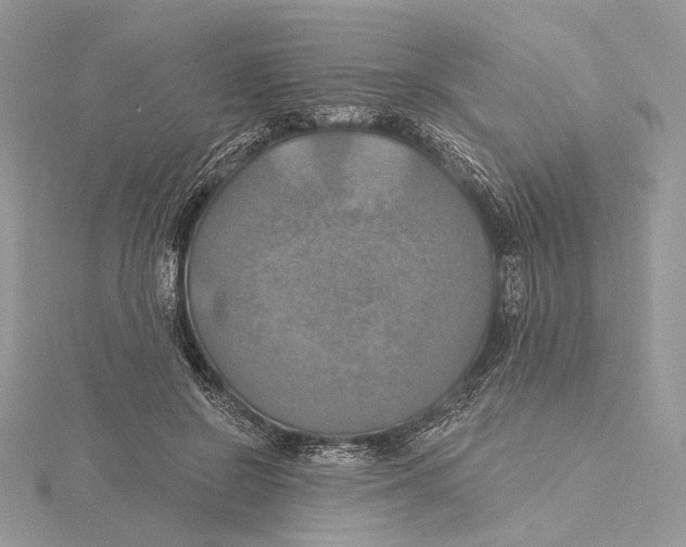 X0000115450550200912021008