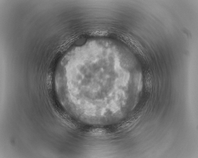 X0000115450551200912021008