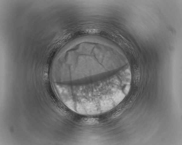 X0000115450553200912021008