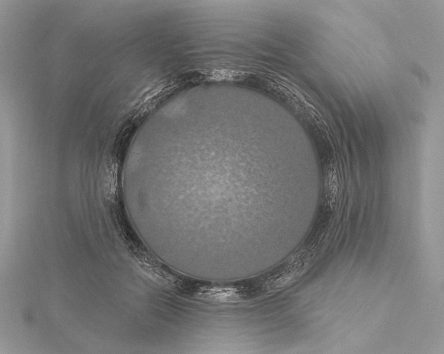 X0000115450554200912021008