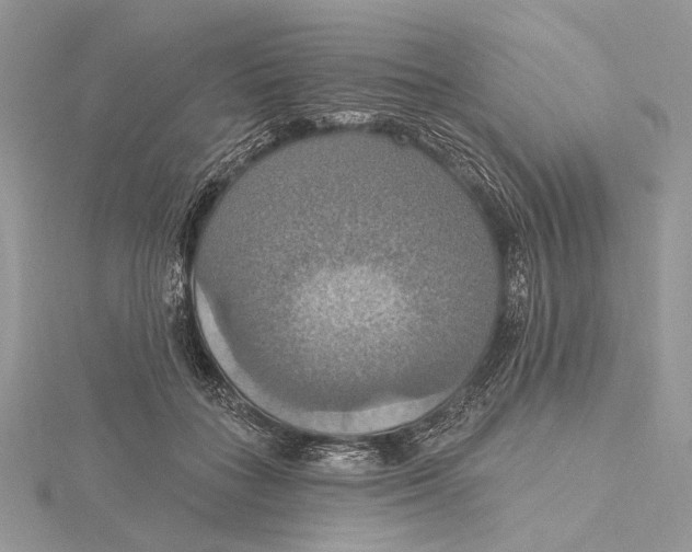 X0000115450555200912021008