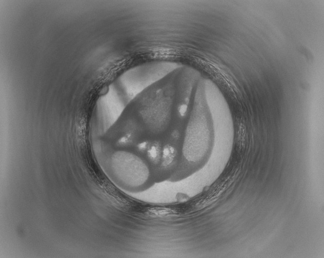 X0000115450557200912021008