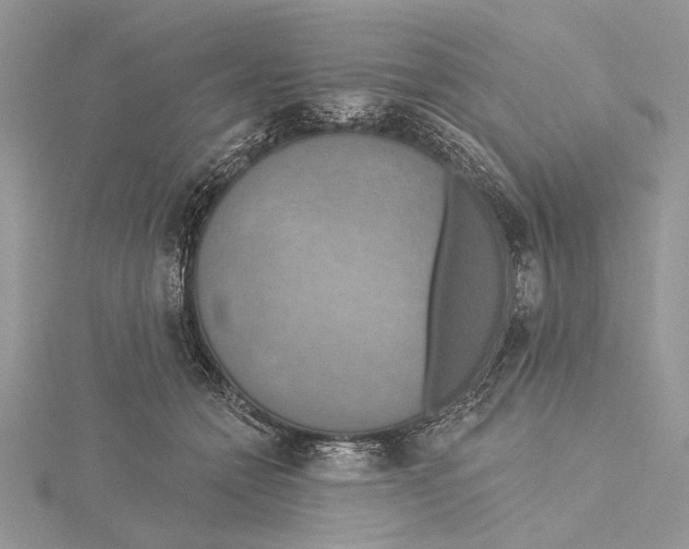 X0000115450558200912021008