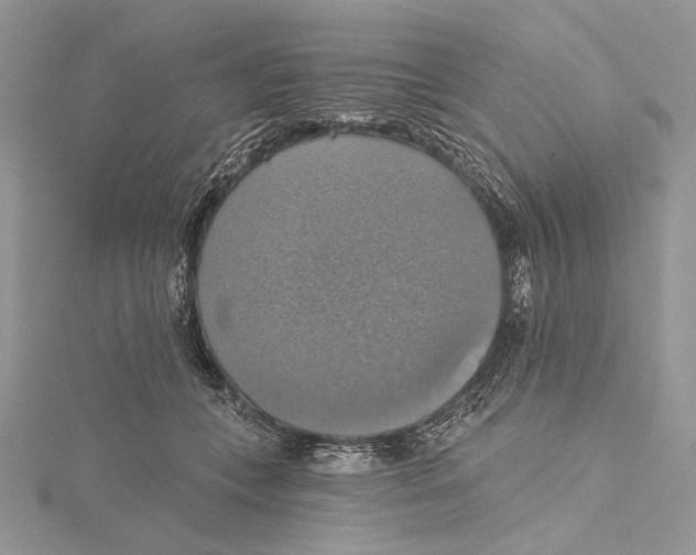 X0000115450559200912021008