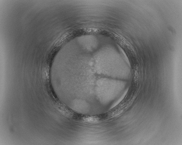 X0000115450561200912021008