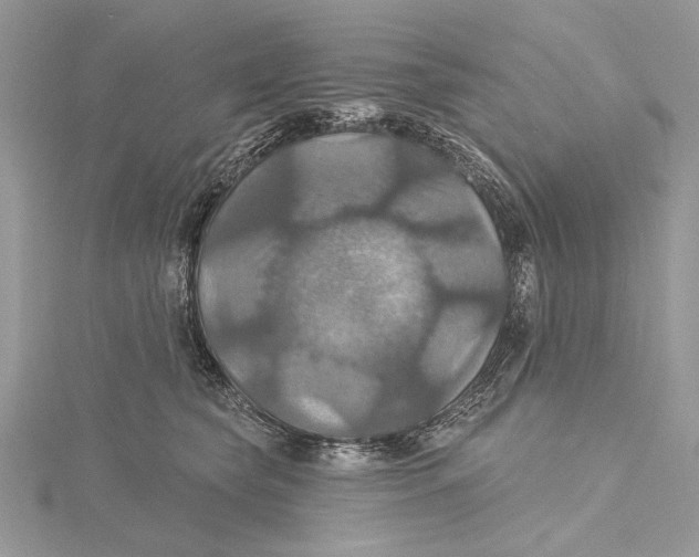 X0000115450565200912021008