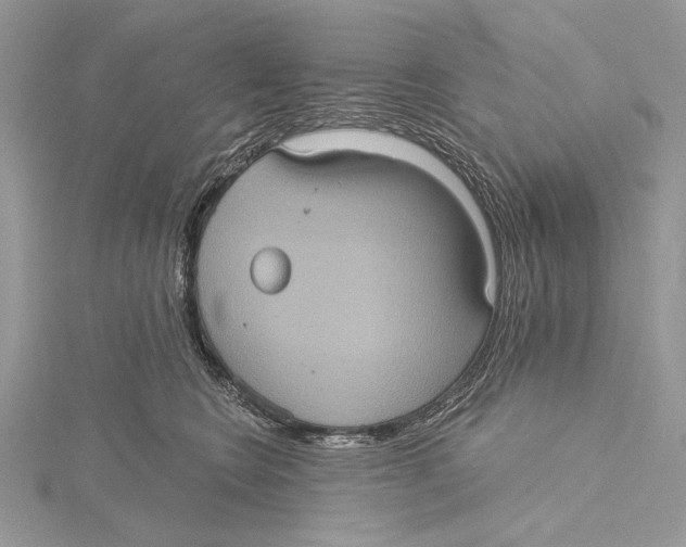 X0000115450566200912021008