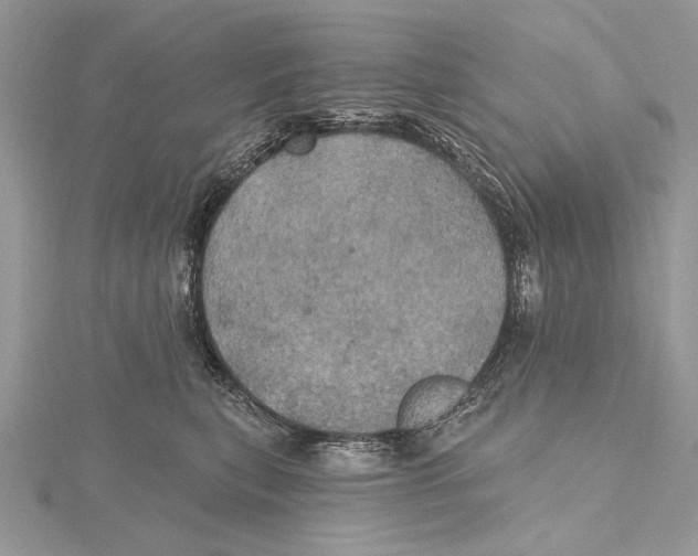 X0000115450567200912021009