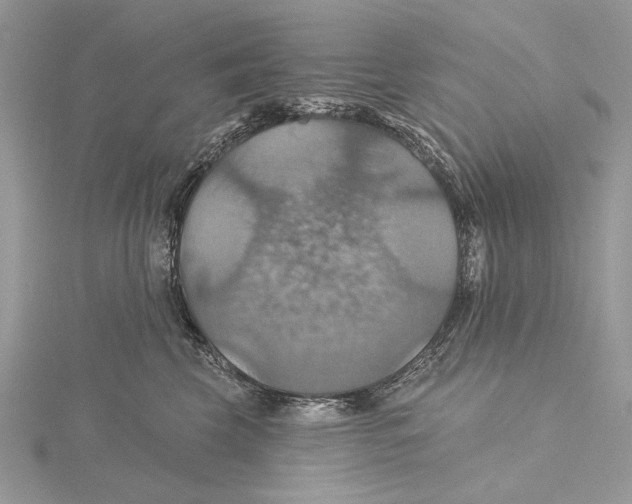 X0000115450569200912021009