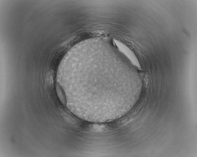 X0000115450570200912021009