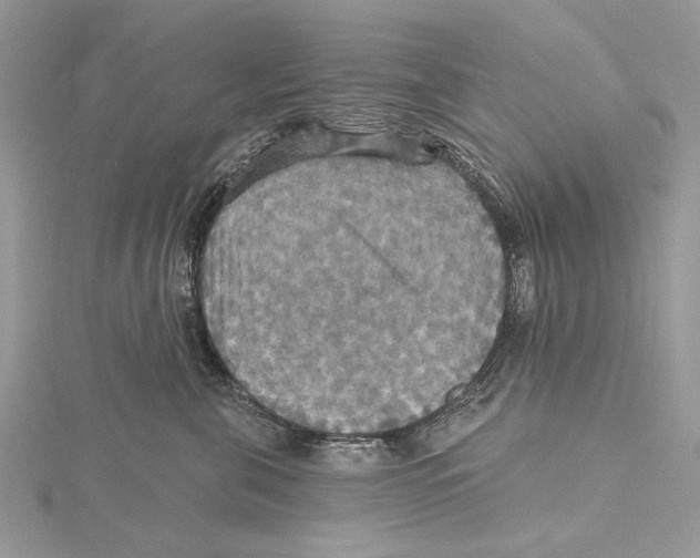 X0000115450571200912021009