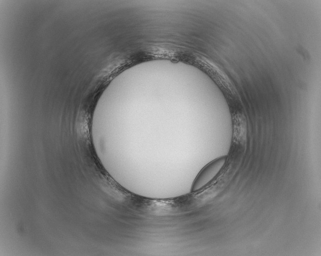 X0000115450573200912021009