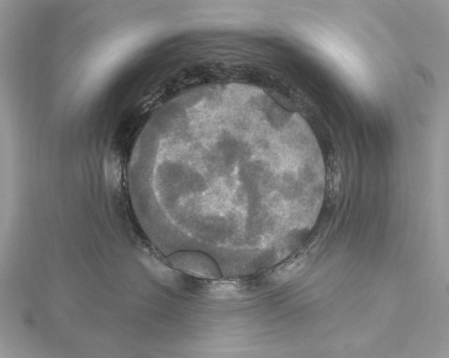 X0000115450574200912021009