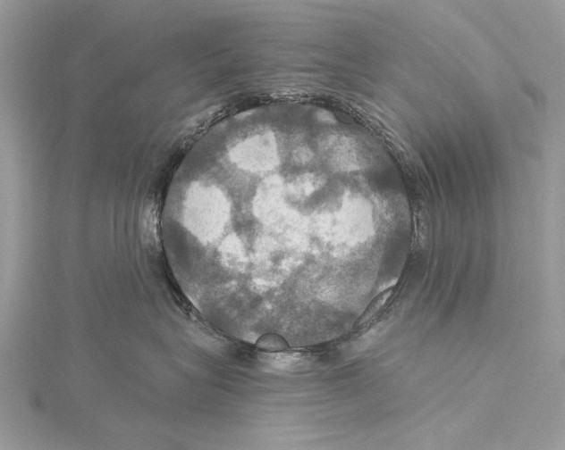 X0000115450575200912021009